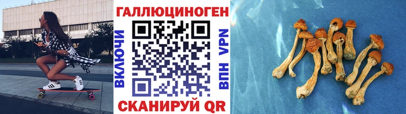 Галлюциногенные грибы MAGIC MUSHROOMS  закладки  Лахденпохья 
